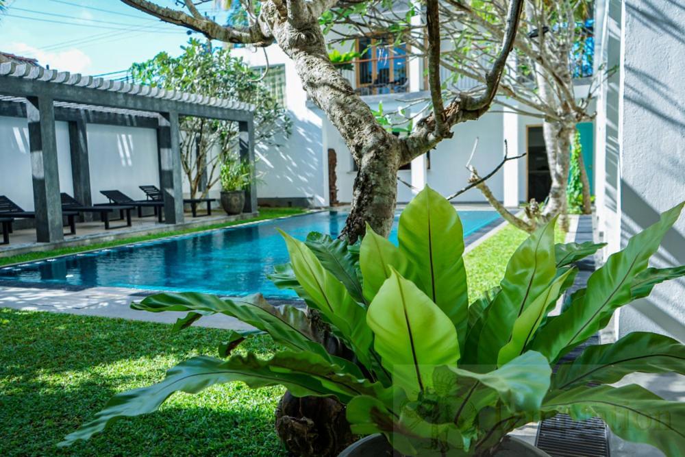 Temptation Hotel Hikkaduwa Exterior foto